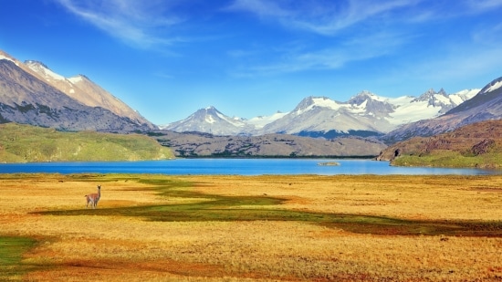 ARGENTINA